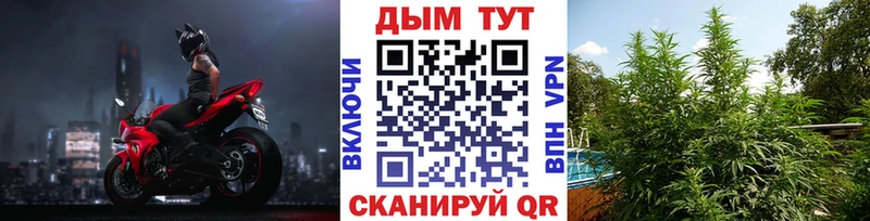 Где найти наркотики Переславль-Залесский Каннабис  гидра маркетплейс  Кокаин  ГАШИШ  МЕФ  Псилоцибиновые грибы 