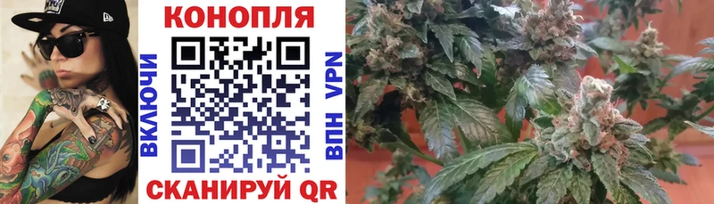 Каннабис Ganja  площадка формула  Переславль-Залесский 